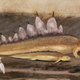 Image for article titled Cryptozoologicon Could Revolutionize the Field of Monster Studies